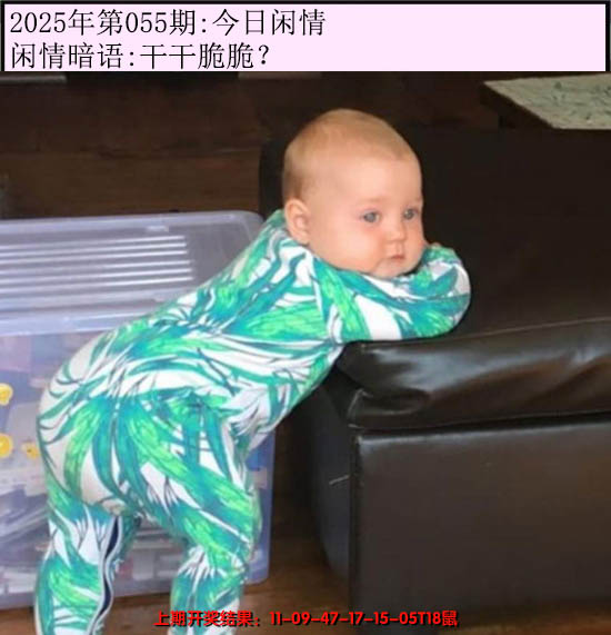 2025055期今日闲情