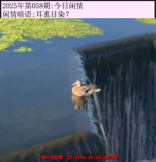 2025058期今日闲情