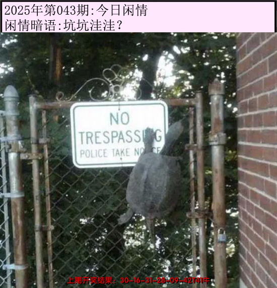 2025043期今日闲情