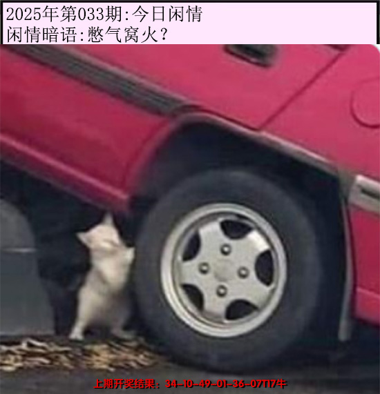 2025033期今日闲情
