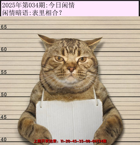 2025034期今日闲情
