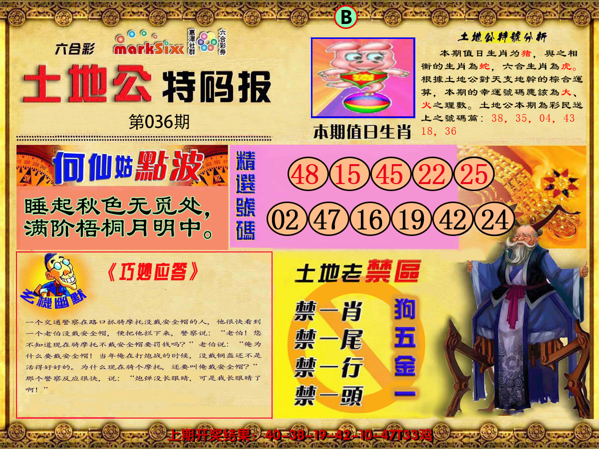 2025036期土地公特码报B