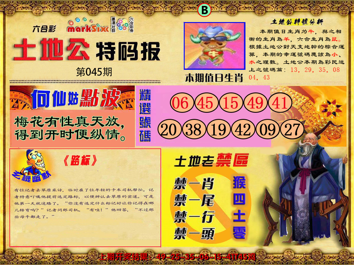 2025045期土地公特码报B
