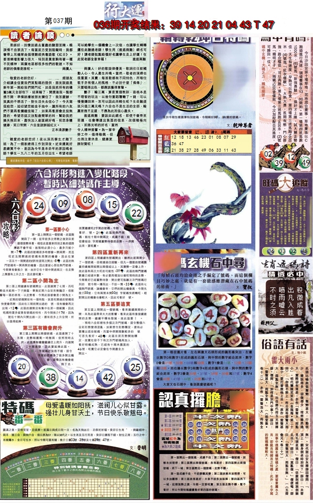 2025037期贴士皇B加大版