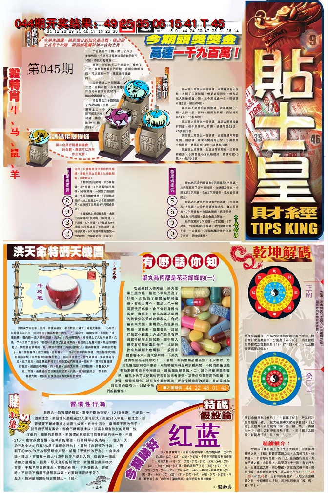2025045期贴士皇A加大版