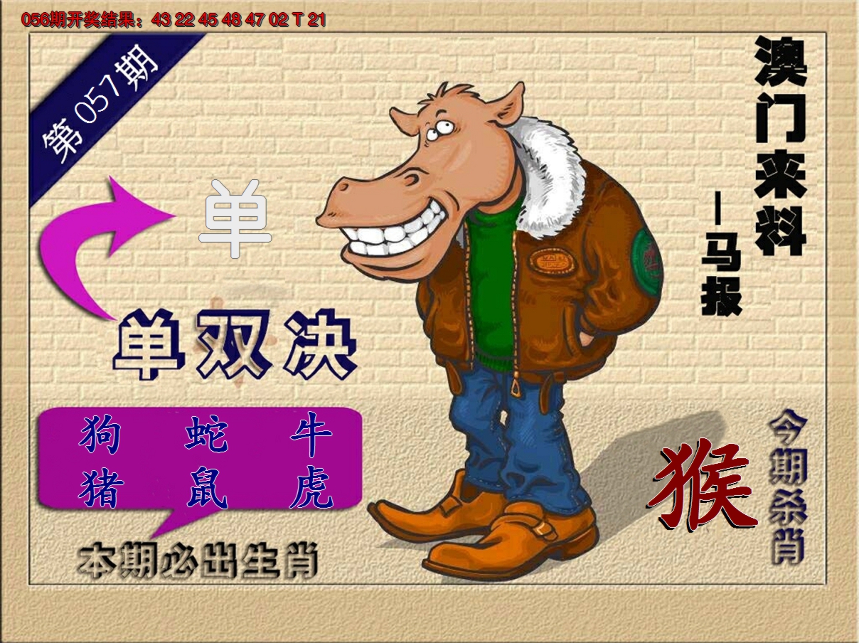 2025057期(来料)马报