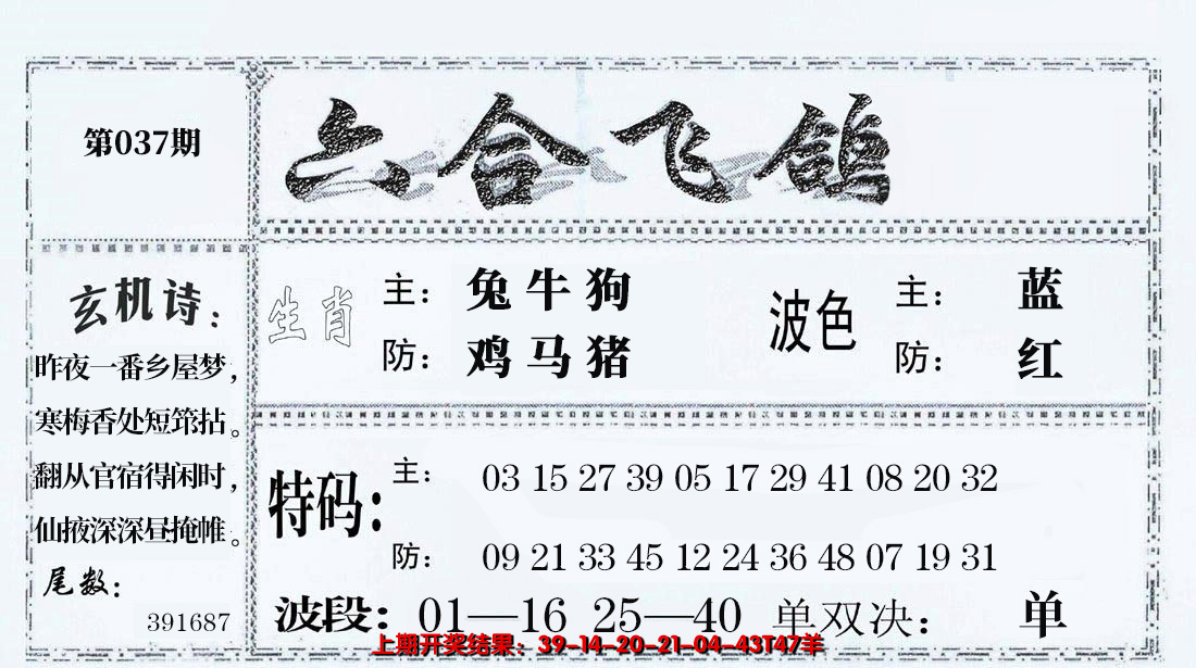 2025037期六合飞鸽