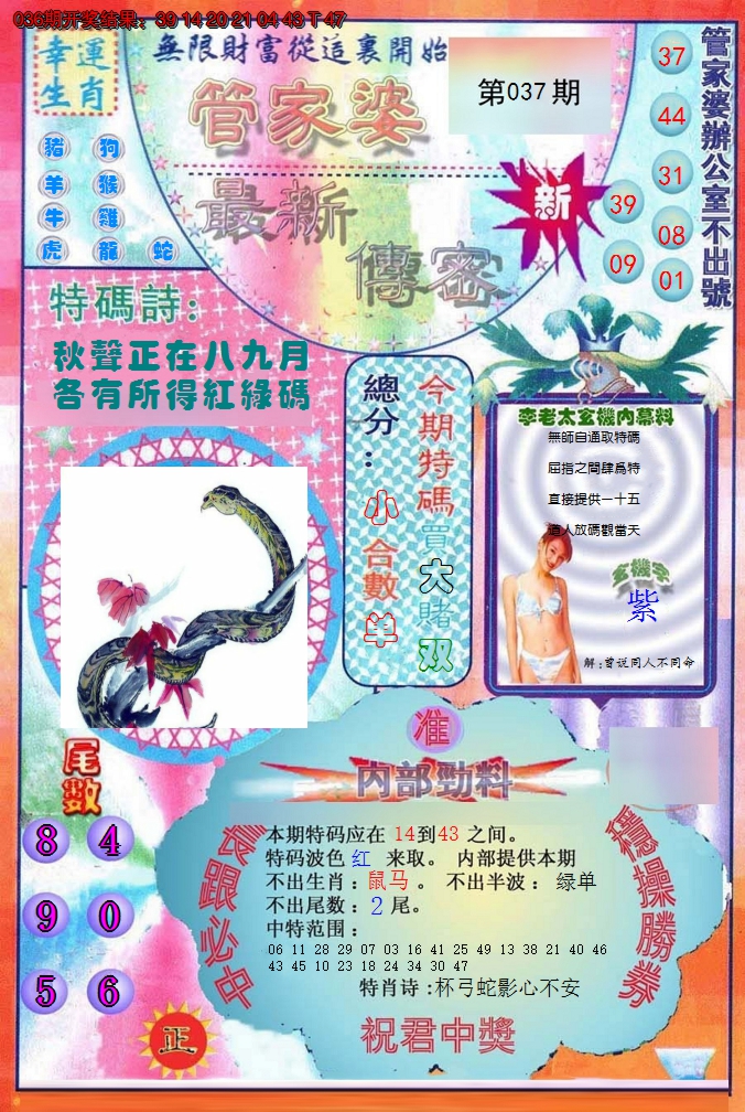 2025037期管家婆新传密