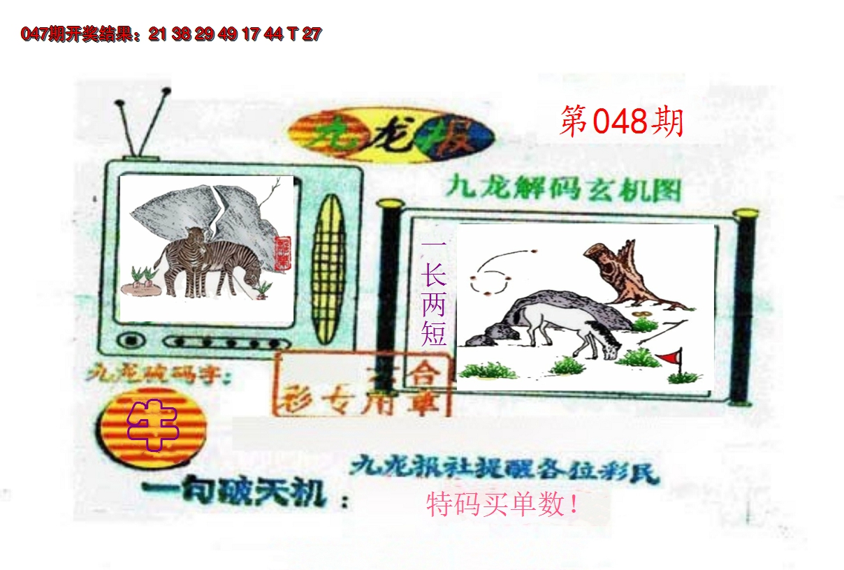 2025048期九龙报