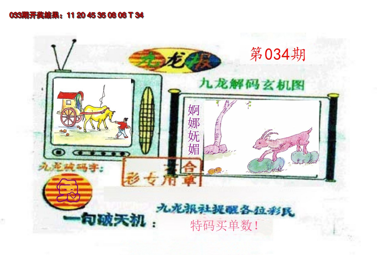 2025034期九龙报