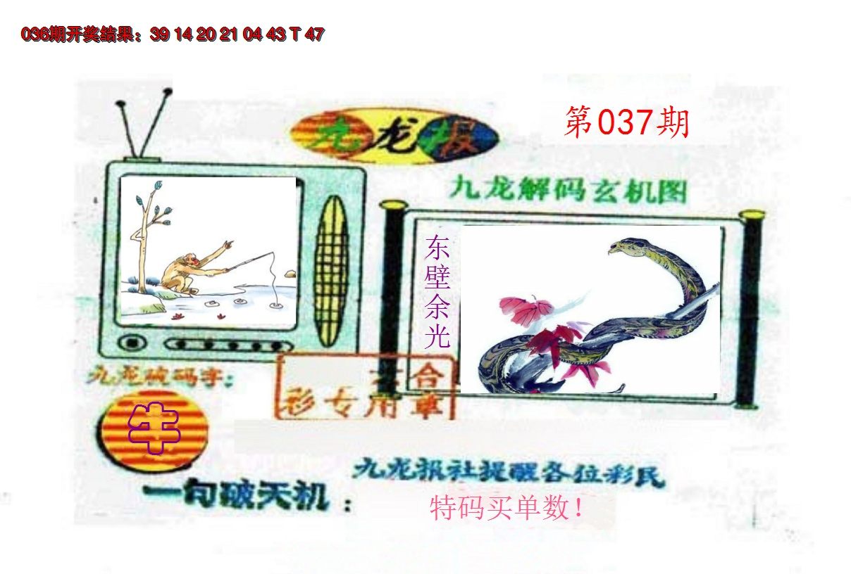 2025037期九龙报
