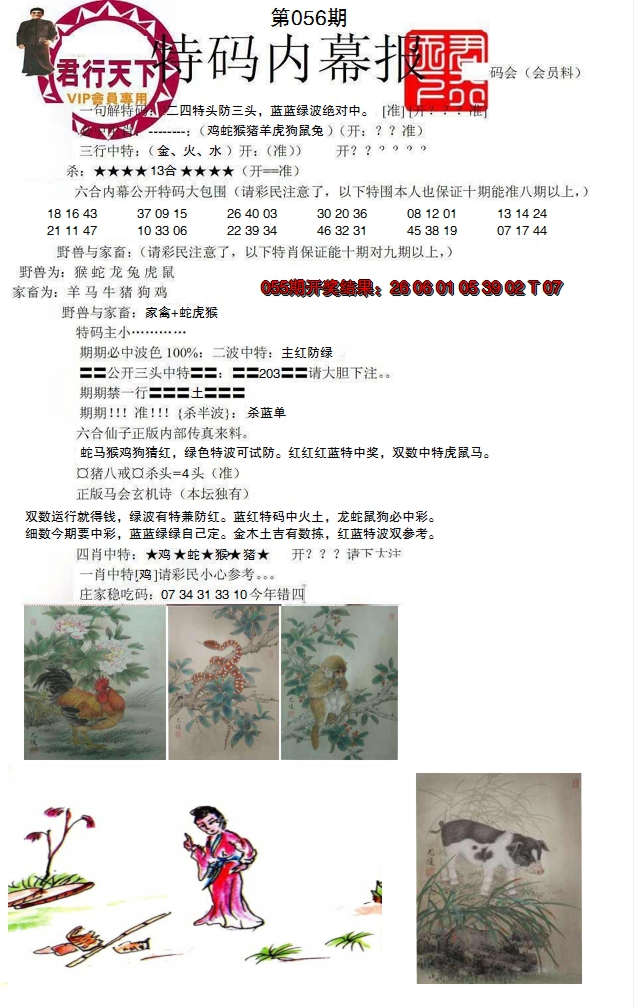 2025056期特码内幕报