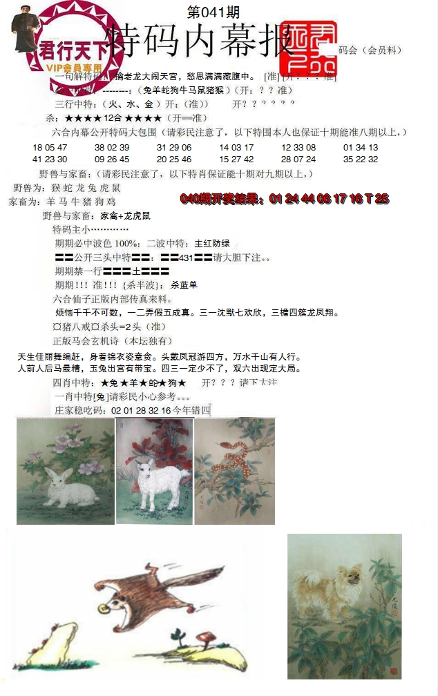 2025041期特码内幕报