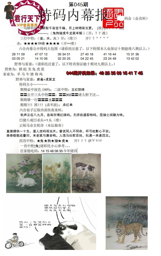 2025045期特码内幕报