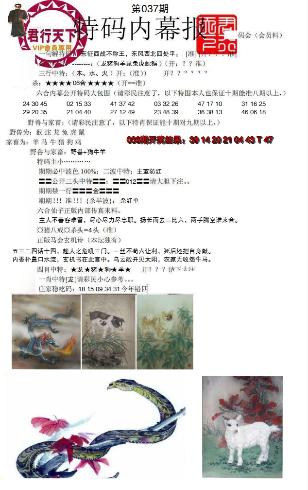 2025037期特码内幕报