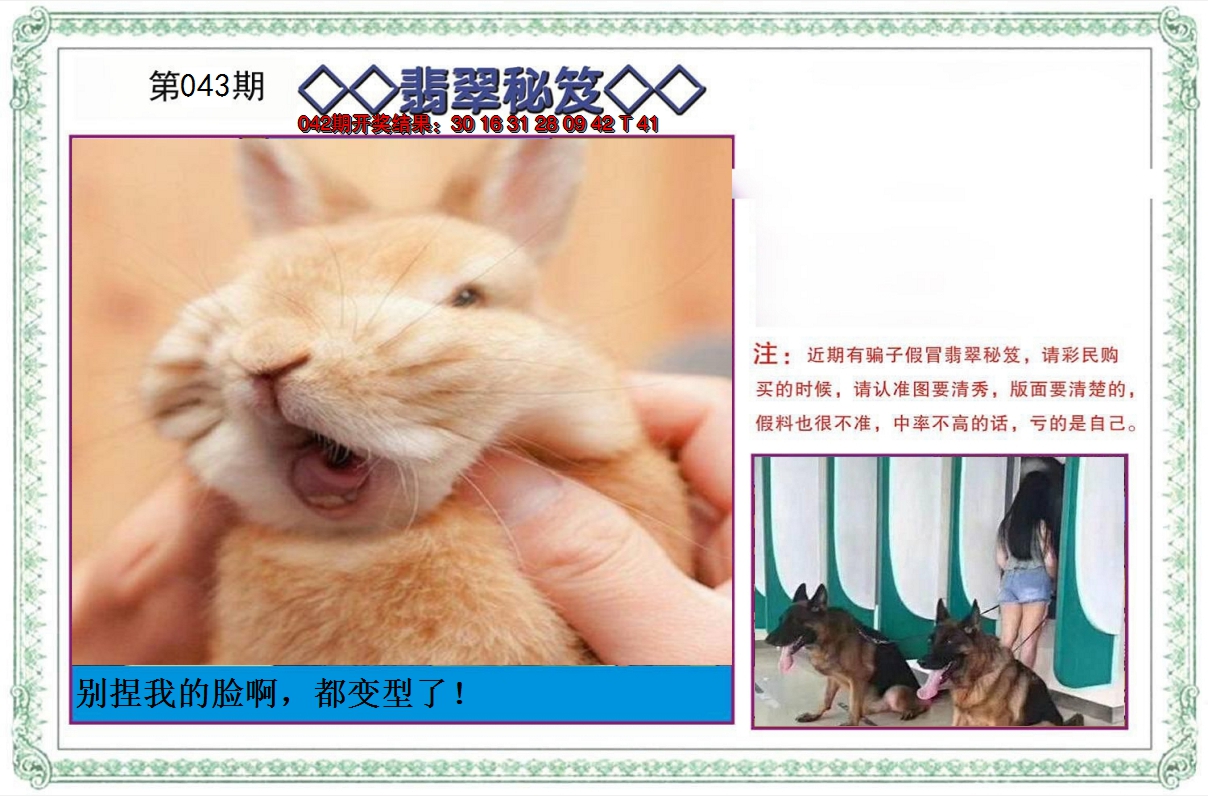 2025043期翡翠秘笈