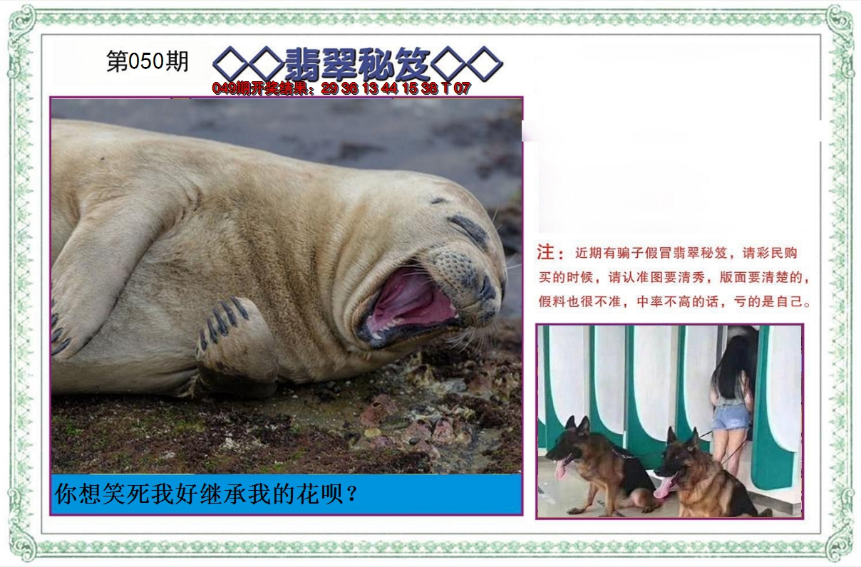 2025050期翡翠秘笈