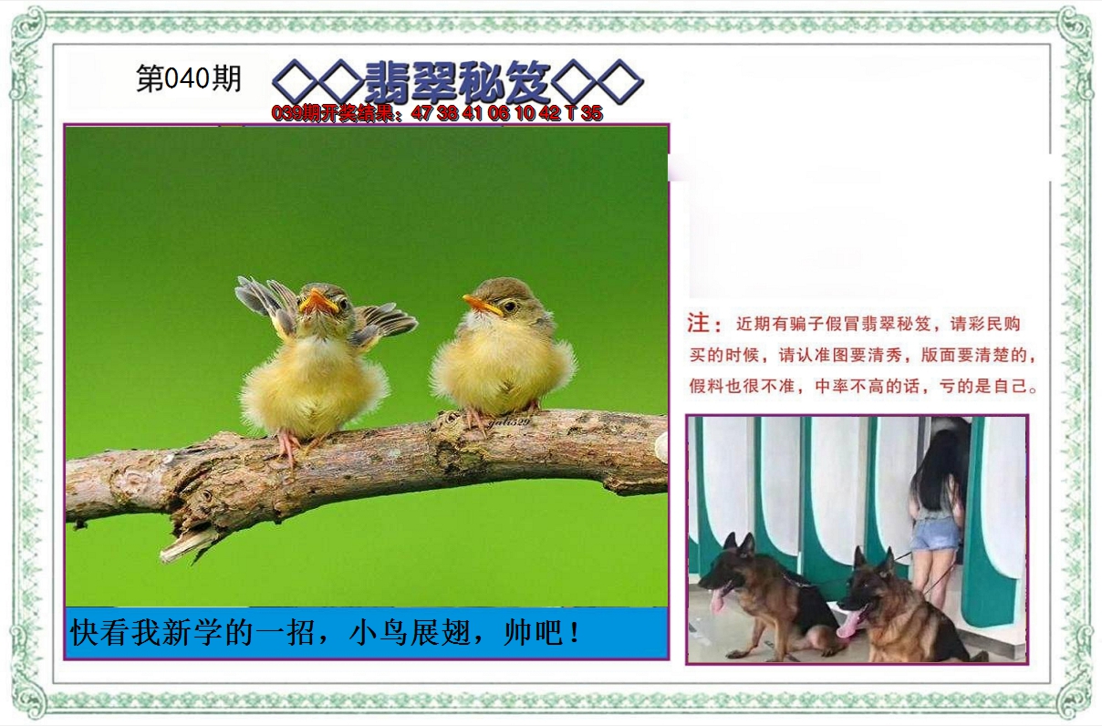 2025040期翡翠秘笈