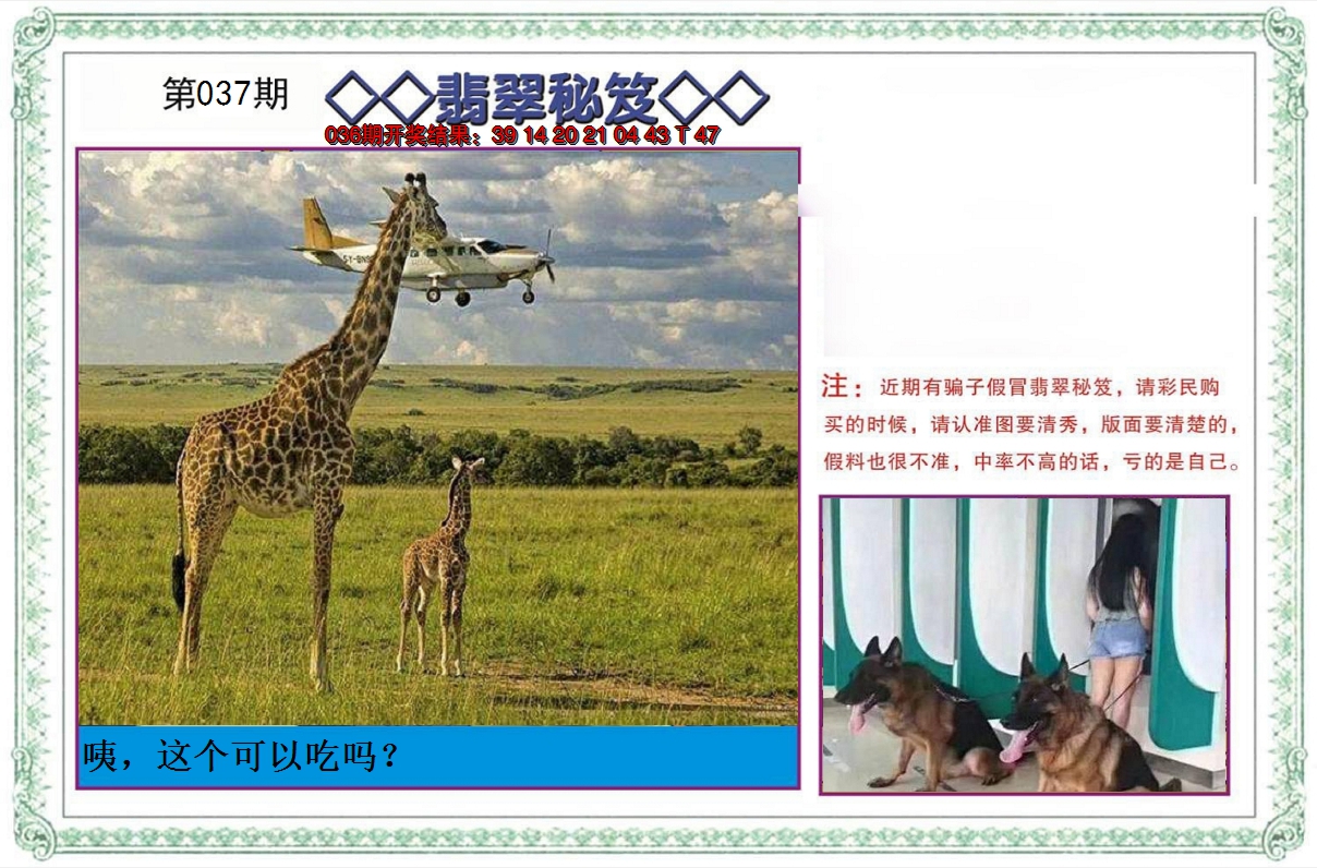 2025037期翡翠秘笈