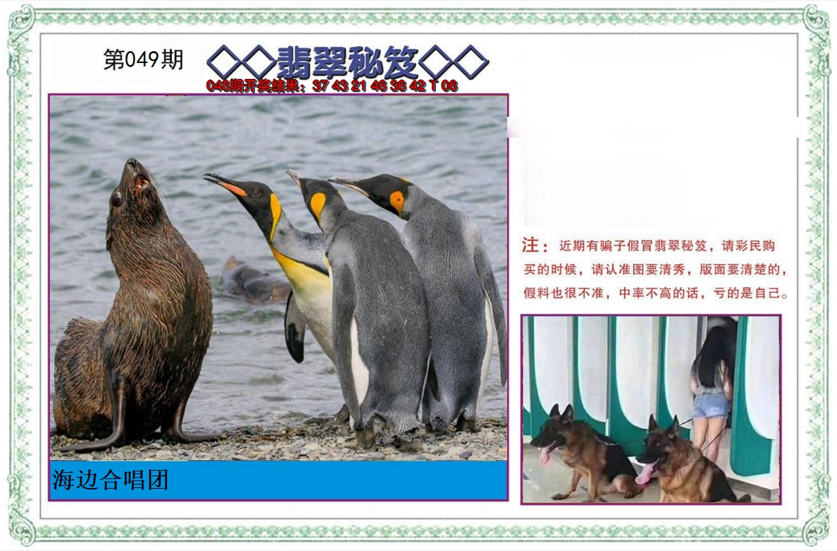2025049期翡翠秘笈