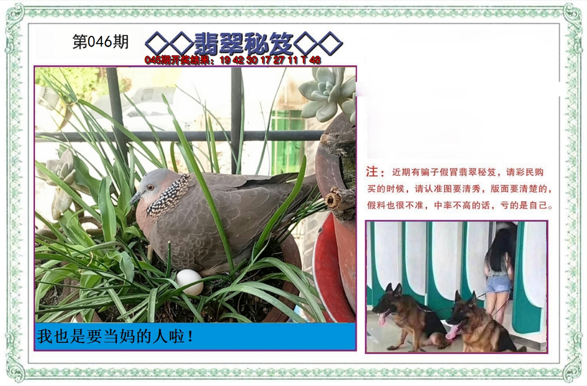 2025046期翡翠秘笈