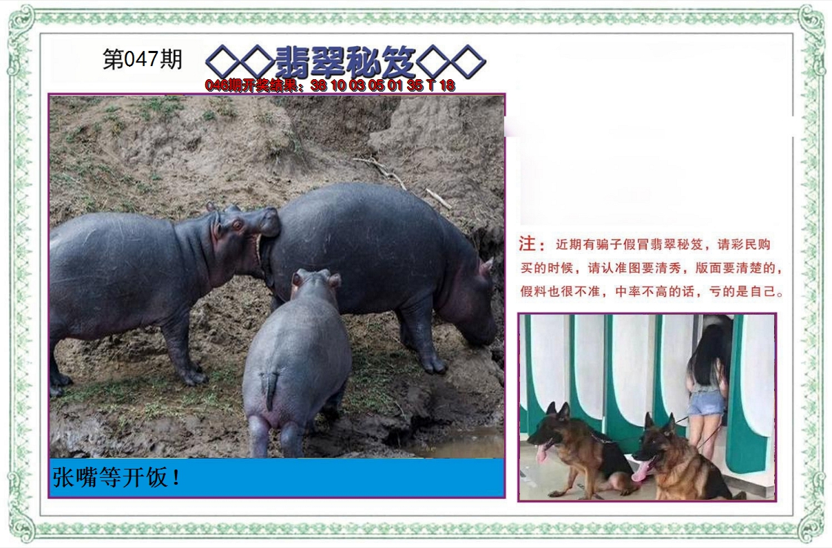 2025047期翡翠秘笈