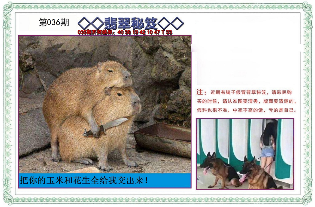 2025036期翡翠秘笈