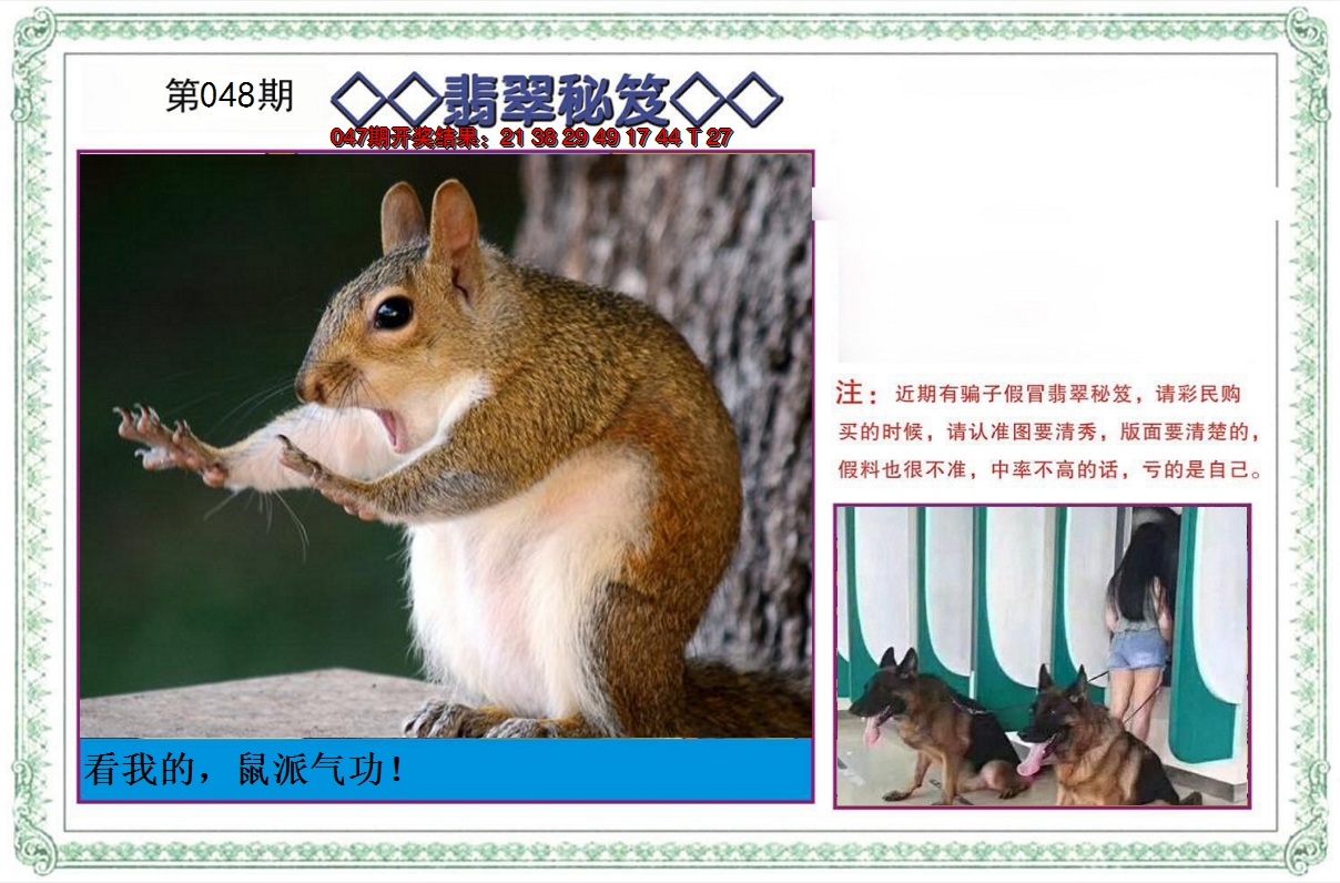 2025048期翡翠秘笈