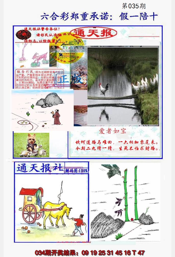2025035期假一陪十通天报