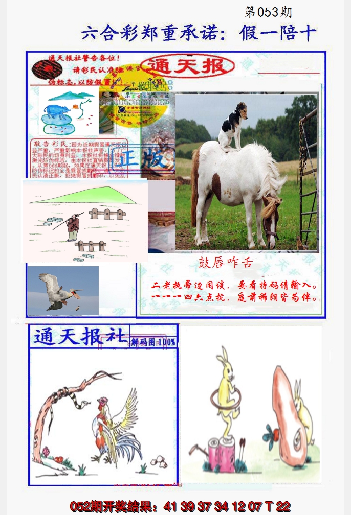 2025053期假一陪十通天报