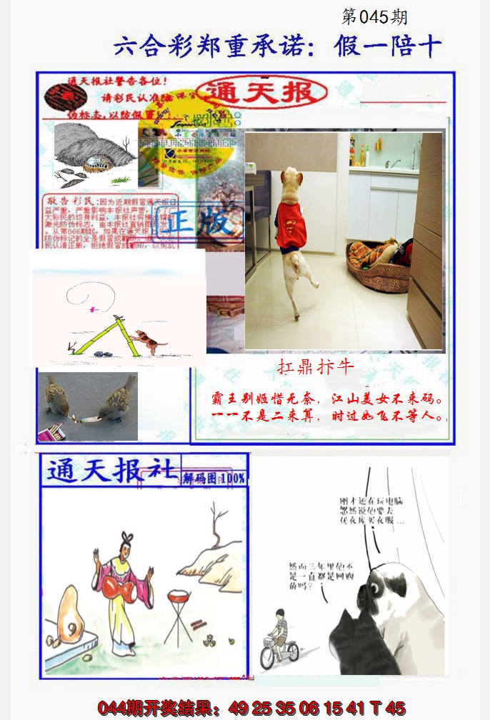 2025045期假一陪十通天报