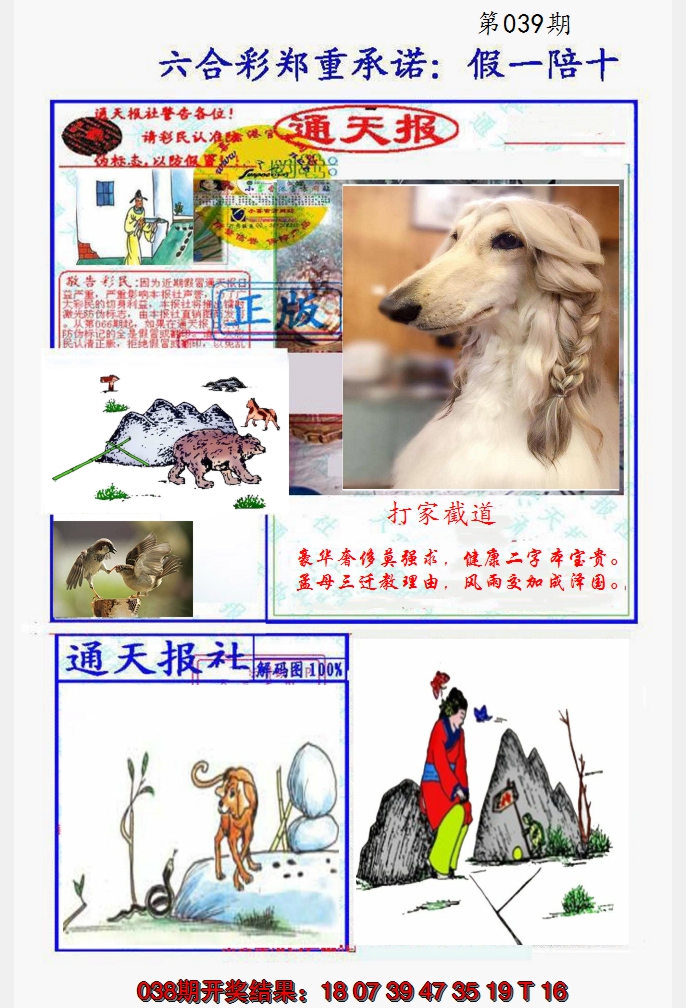 2025039期假一陪十通天报