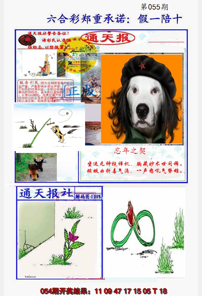 2025055期假一陪十通天报
