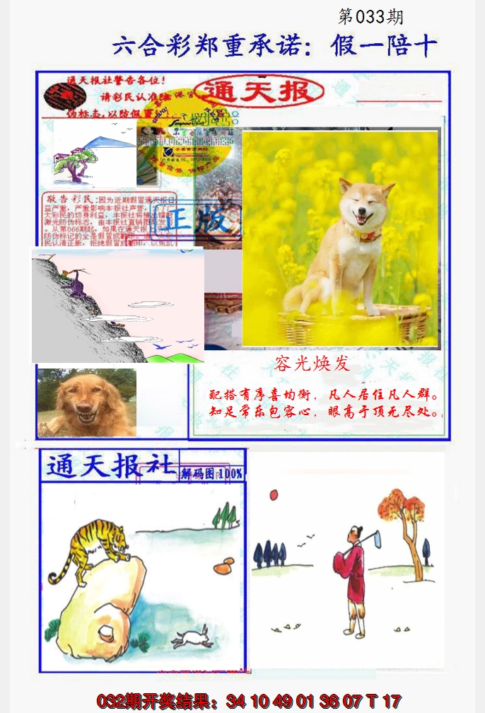 2025033期假一陪十通天报