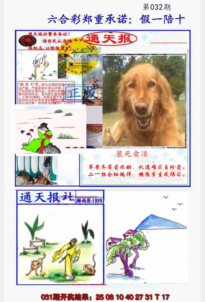 2025032期假一陪十通天报