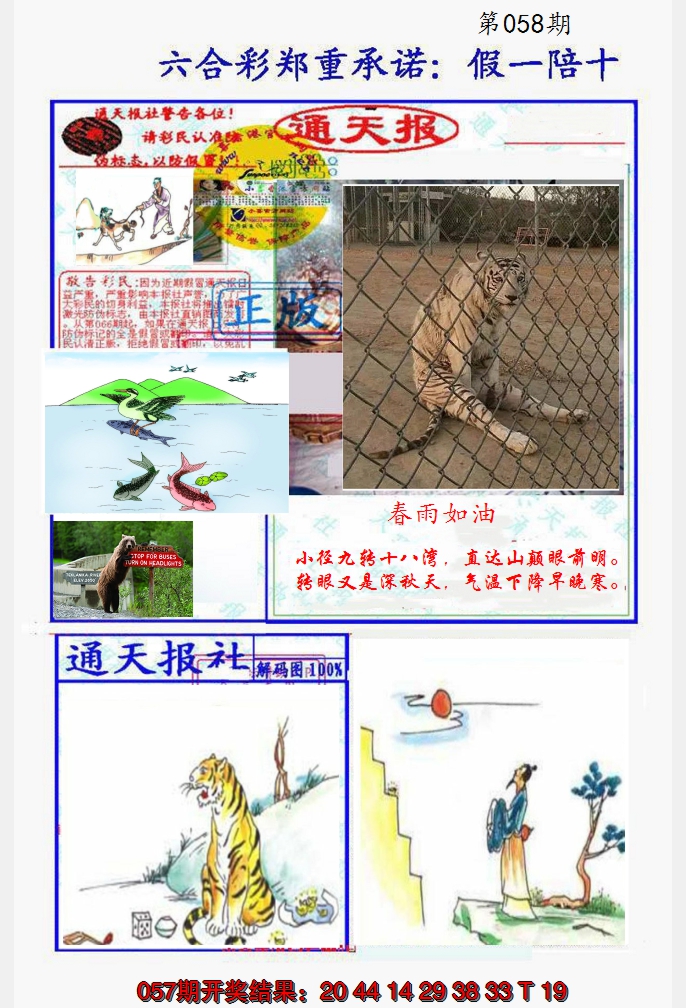 2025058期假一陪十通天报