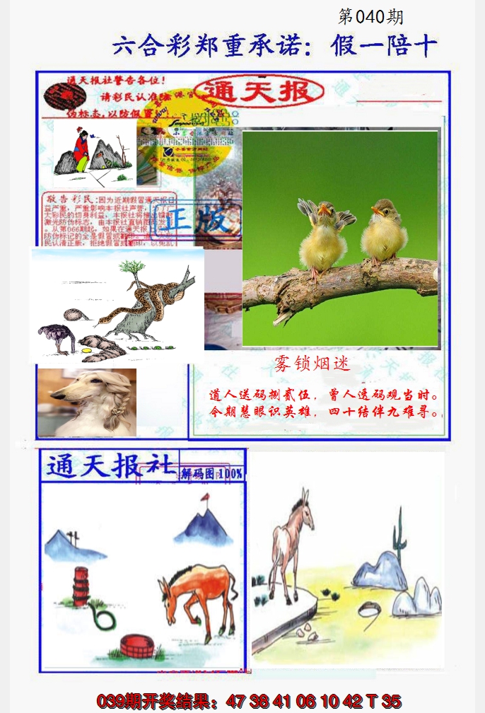 2025040期假一陪十通天报