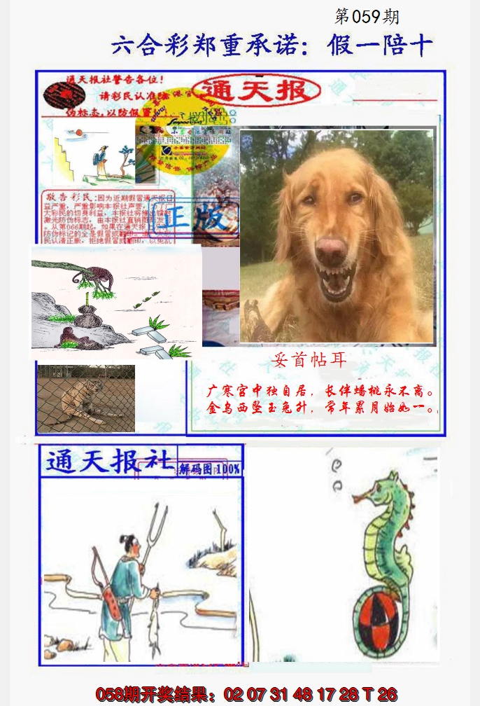 2025059期假一陪十通天报