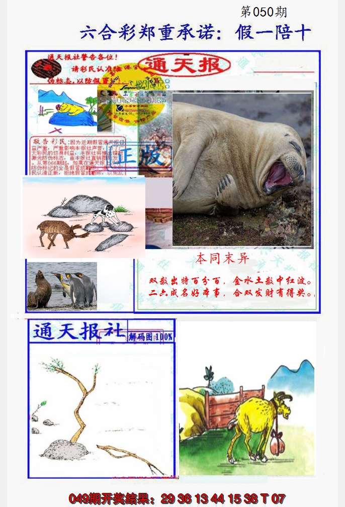 2025050期假一陪十通天报