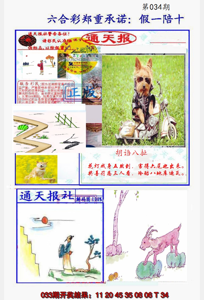 2025034期假一陪十通天报