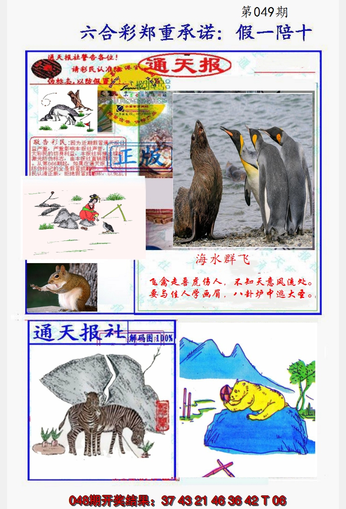 2025049期假一陪十通天报
