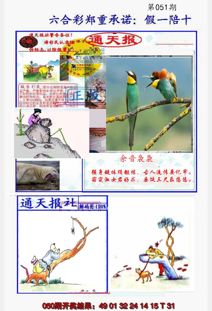 2025051期假一陪十通天报