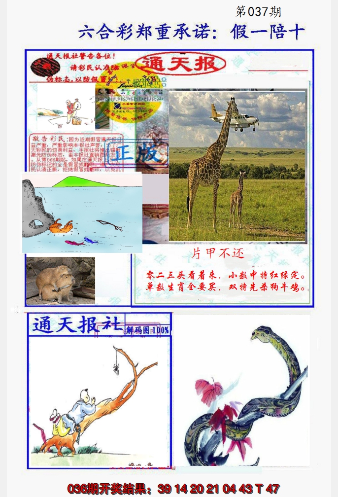 2025037期假一陪十通天报