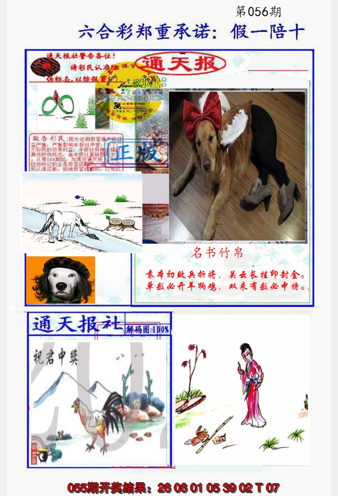 2025056期假一陪十通天报