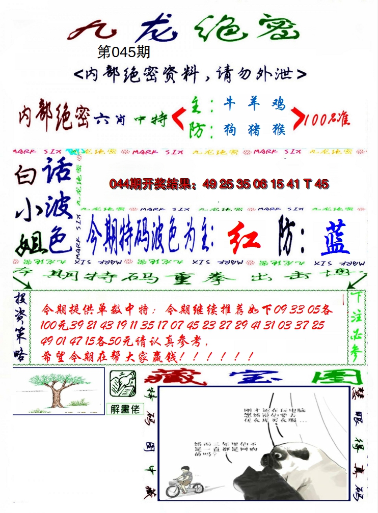 2025045期九龙密报