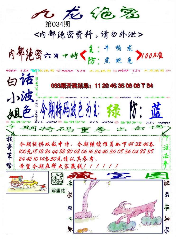 2025034期九龙密报
