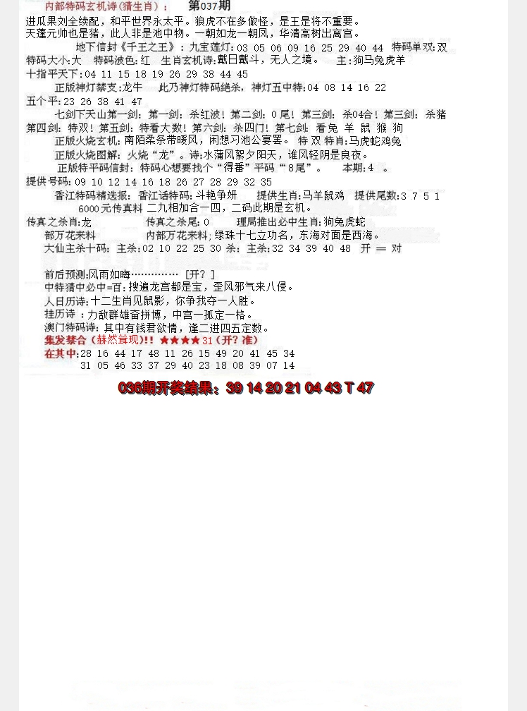 2025037期五星报B