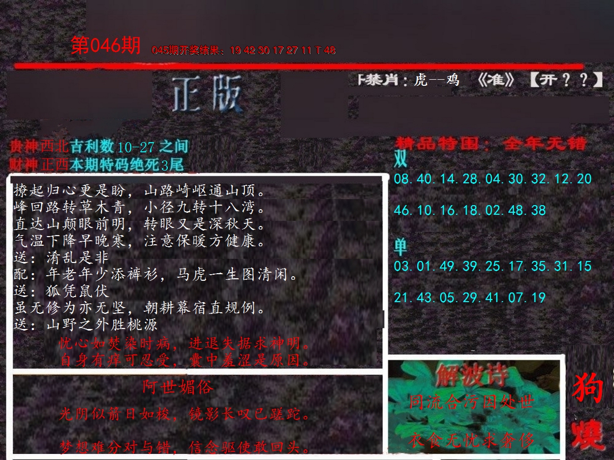 2025046期新港内幕