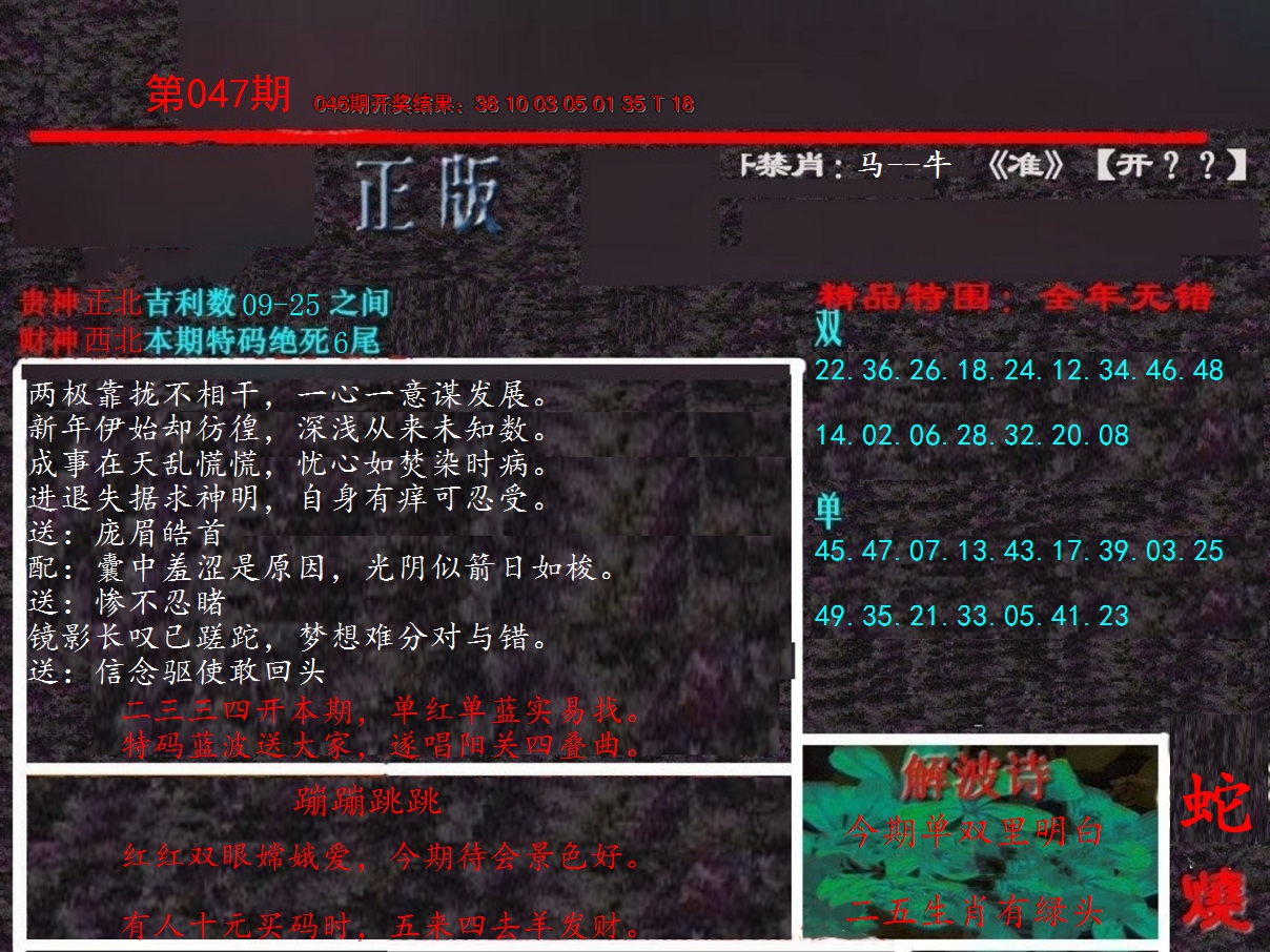 2025047期新港内幕