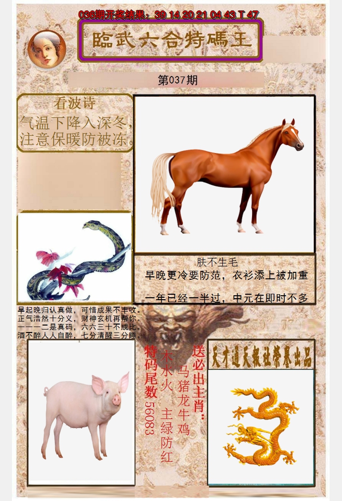 2025037期临武六合特码王